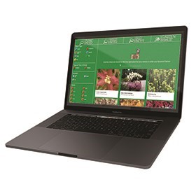 The Perfect Plant for your website